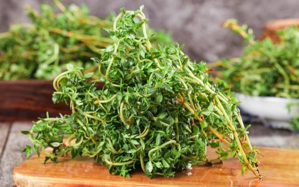 百里香茶好處