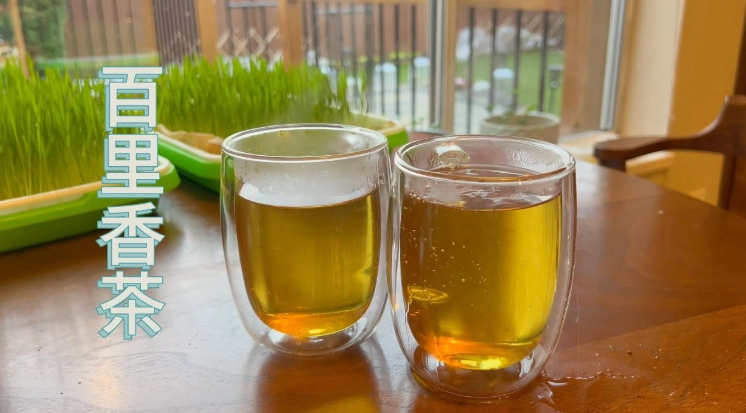 百里香茶好處
