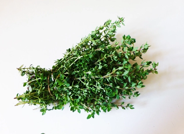 百里香食用注意