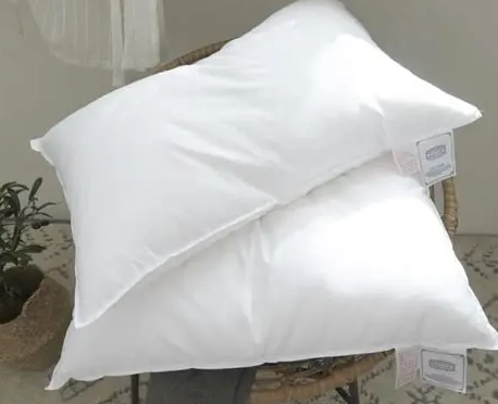 天然枕頭推薦 天然枕頭推薦