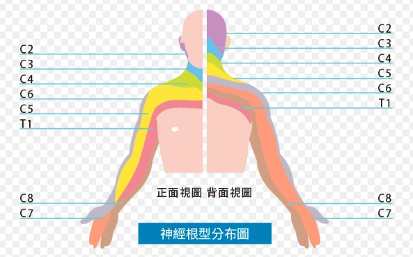 緩解頸椎疼痛穴道