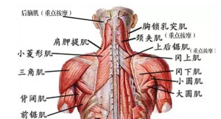 肩颈按摩 台北 推薦