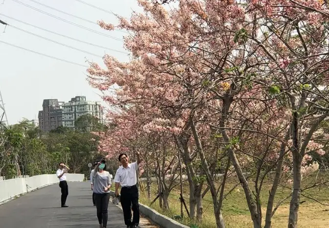 清明連假賞花景點