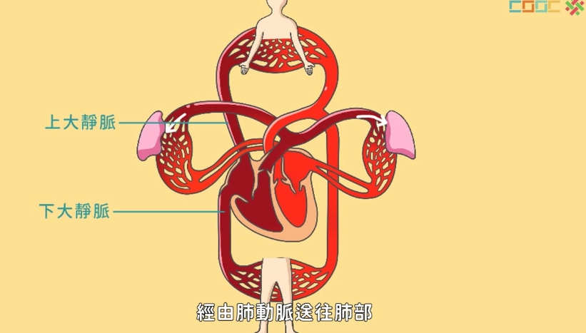 改善血液循環方法