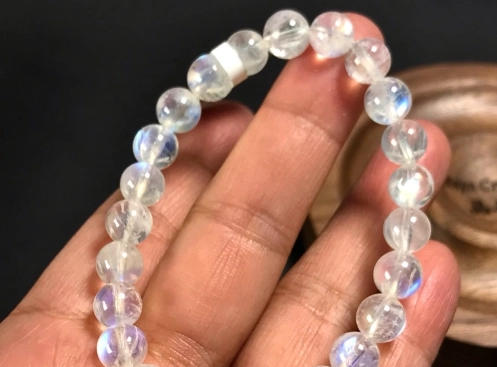 台灣藍眼淚觀賞 台灣藍眼淚觀賞