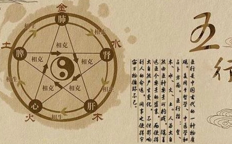 五行人格分類 五行人格分類