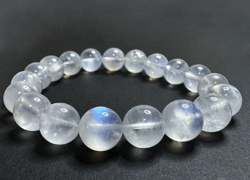 台灣藍眼淚觀賞 台灣藍眼淚觀賞