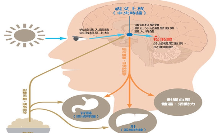 改善血液循環方法