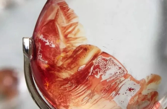 紅膠花真伪测试 紅膠花真伪测试