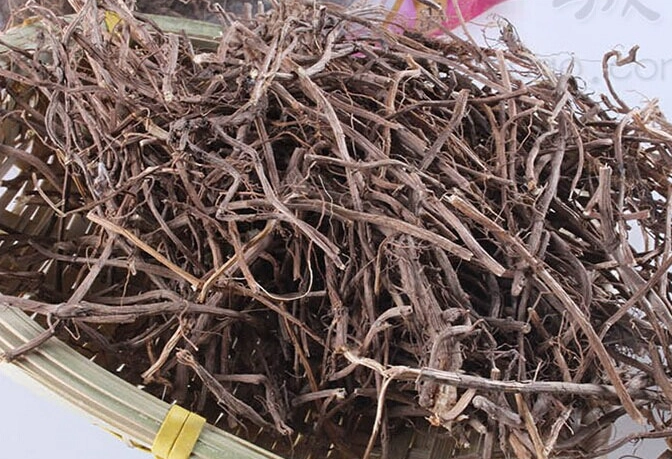 艾草根怎麼煮 艾草根怎麼煮