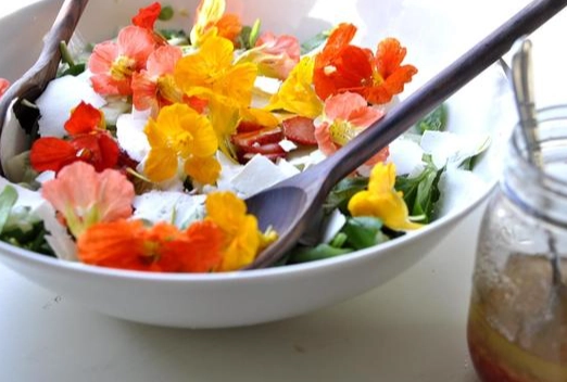 石蓮花食譜 石蓮花食譜