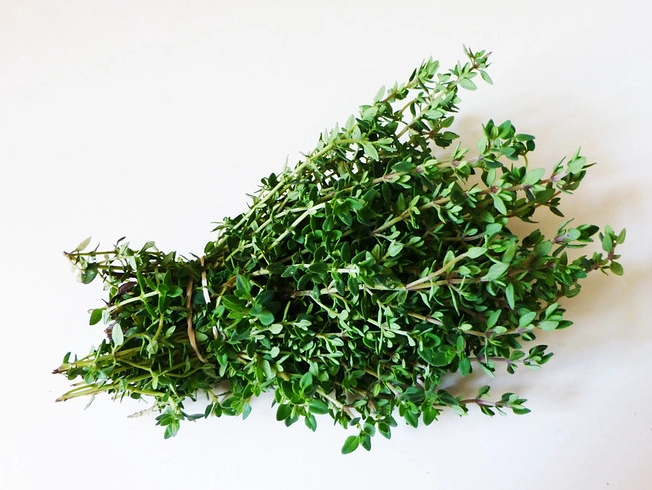 百里香怎麼種