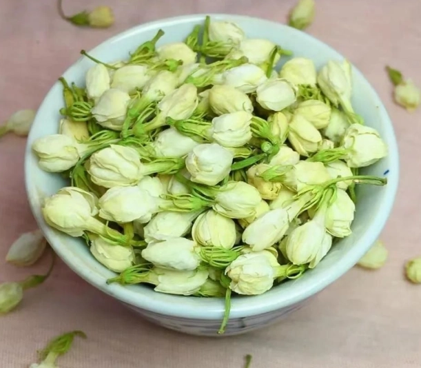 茉莉花養護