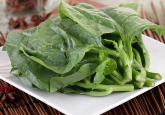 草酸食物 草酸食物