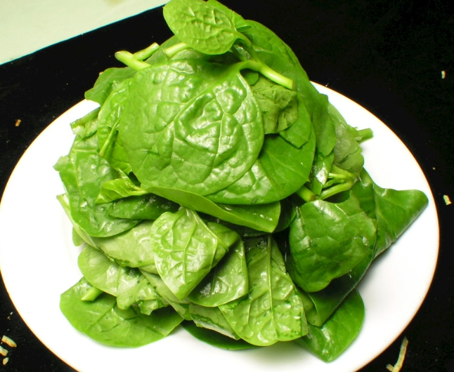 草酸食物 草酸食物
