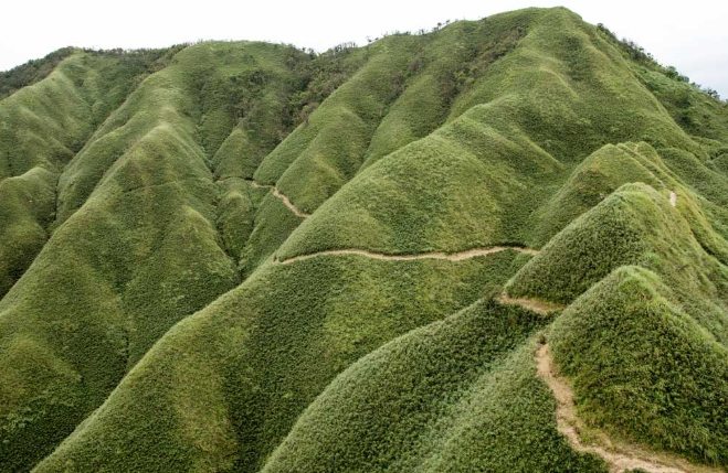 抹茶山