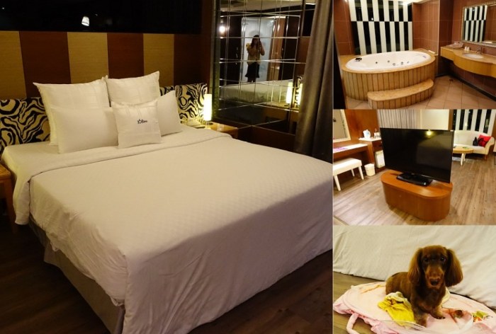 苗栗寵物友善溫泉飯店