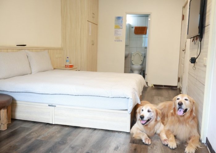 寵物友善溫泉推薦 寵物友善溫泉推薦