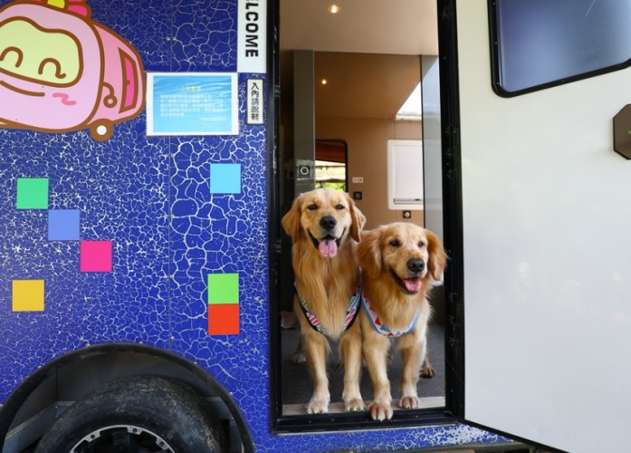 寵物友善露營苗栗