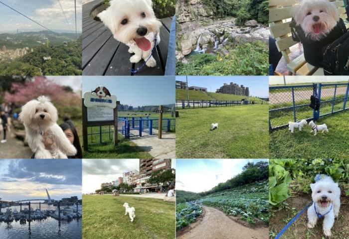 苗栗帶狗景點