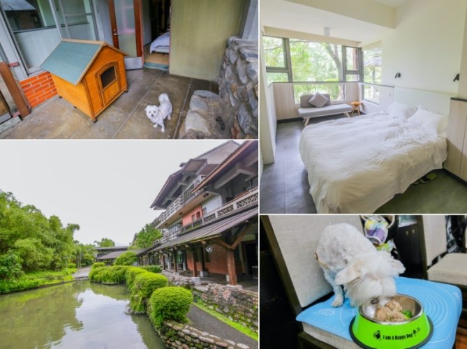 內灣寵物友善民宿 內灣寵物友善民宿