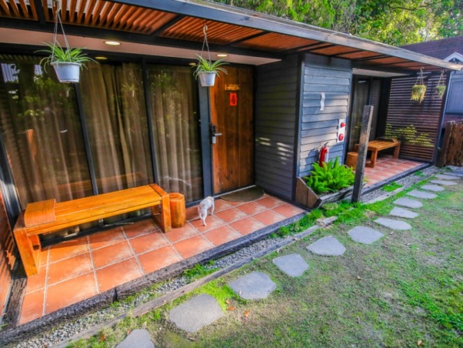 帶寵物旅遊民宿 帶寵物旅遊民宿