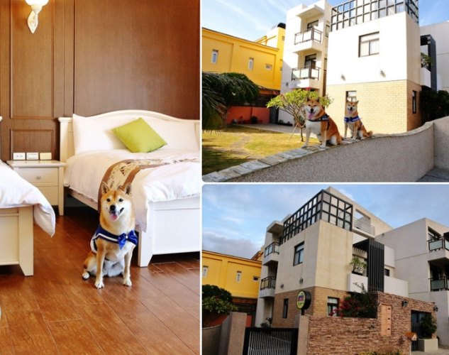 內灣帶狗住宿 內灣帶狗住宿