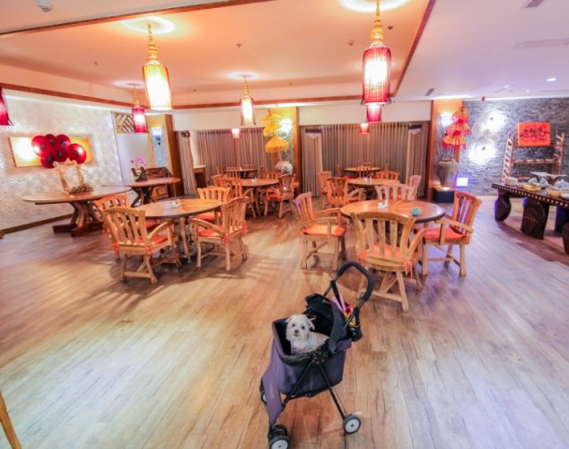 苗栗帶寵物旅遊 苗栗帶寵物旅遊