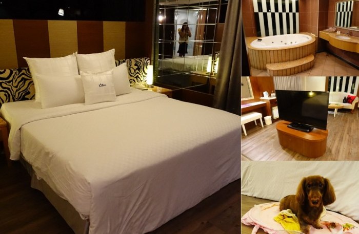 桃園帶狗住宿 桃園帶狗住宿