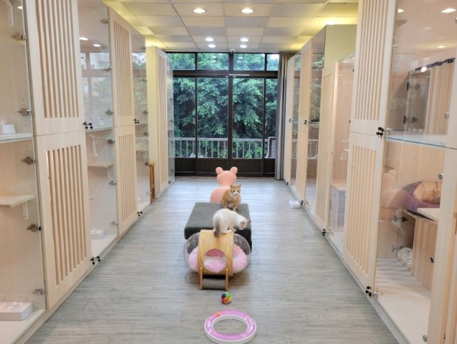 寵物寄宿新竹 寵物寄宿新竹