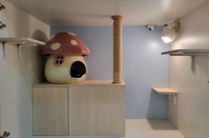 新竹寵物旅館 新竹寵物旅館