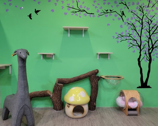 寵物寄宿新竹 寵物寄宿新竹