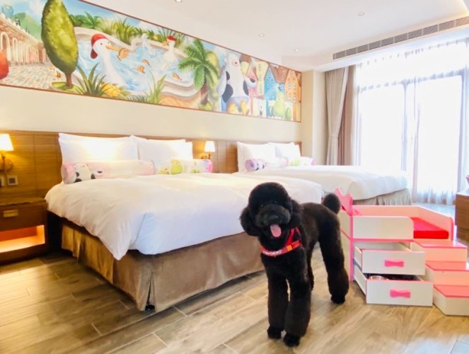 苗栗寵物住宿 苗栗寵物住宿