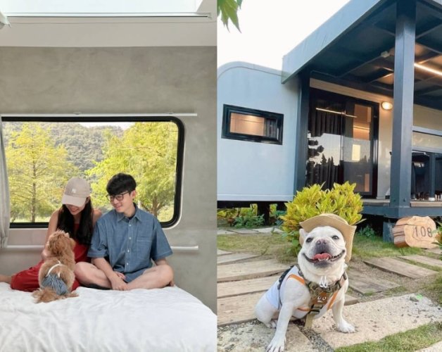 新竹露營區寵物