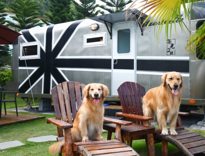 新竹露營區寵物