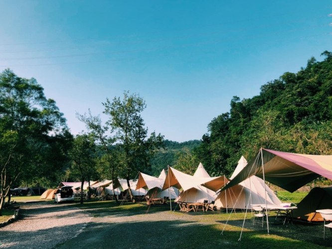 新竹露營區寵物