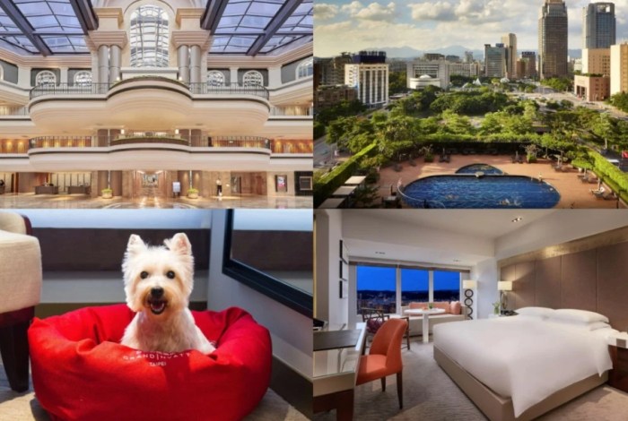 苗栗帶寵物旅遊 苗栗帶寵物旅遊