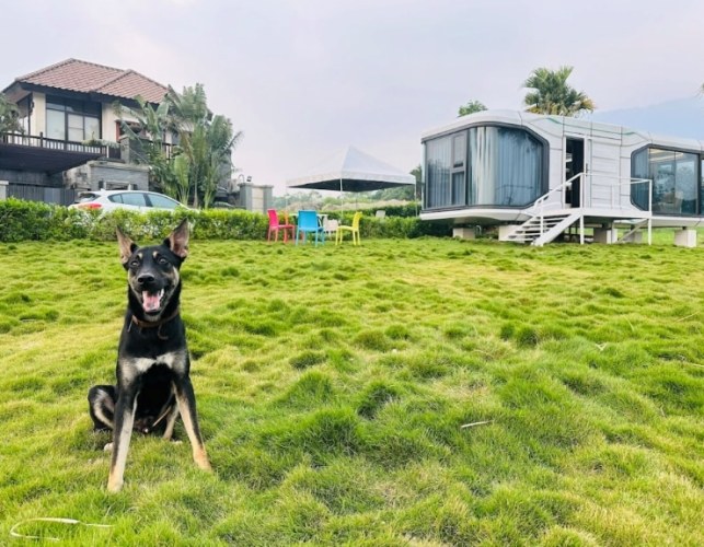 苗栗寵物友善住宿 苗栗寵物友善住宿