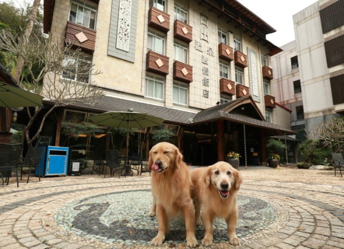宜蘭寵物友善溫泉 宜蘭寵物友善溫泉