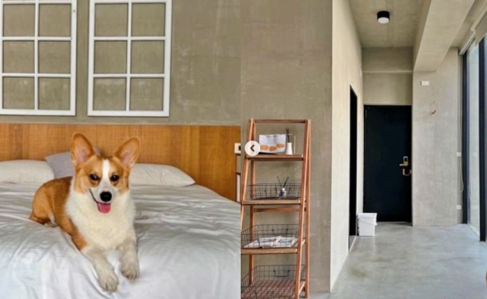 內灣帶狗住宿 內灣帶狗住宿