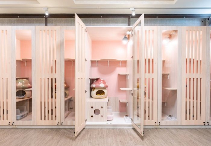 寵物寄宿新竹 寵物寄宿新竹