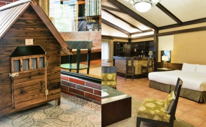 宜蘭寵物友善溫泉 宜蘭寵物友善溫泉