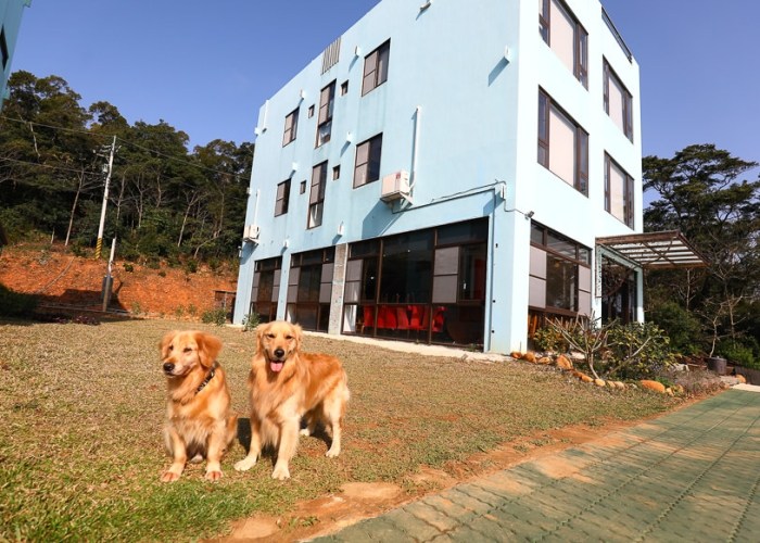 帶寵物旅遊民宿 帶寵物旅遊民宿