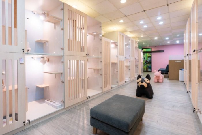 新竹寵物旅館 新竹寵物旅館