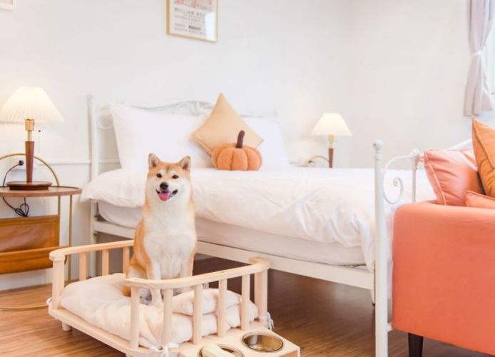 大湖帶寵物民宿 大湖帶寵物民宿