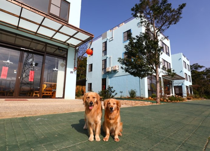苗栗寵物友善住宿 苗栗寵物友善住宿