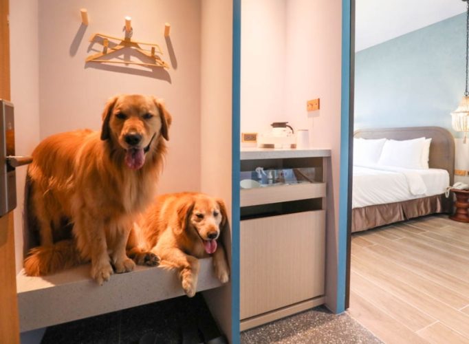 大湖帶寵物民宿 大湖帶寵物民宿