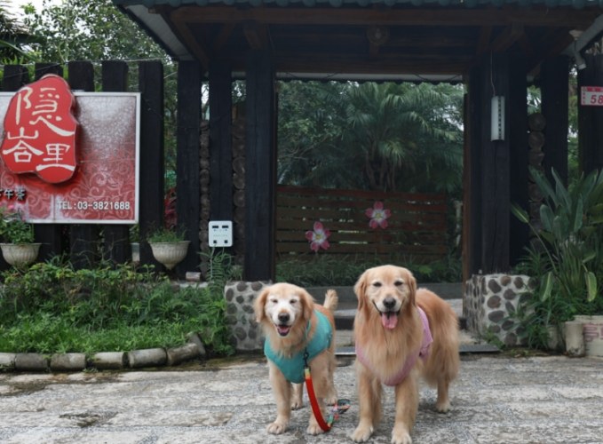 桃園帶狗住宿 桃園帶狗住宿