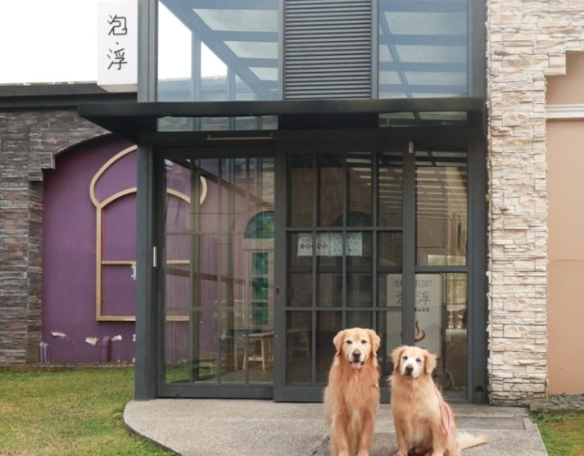 帶寵物泡湯 帶寵物泡湯