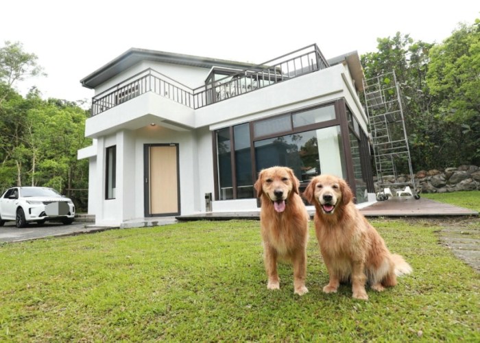 苗栗寵物友善住宿